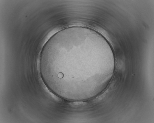 X0000111241290200907301259