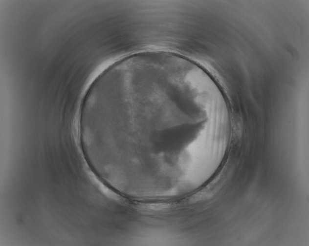 X0000111241294200907301259