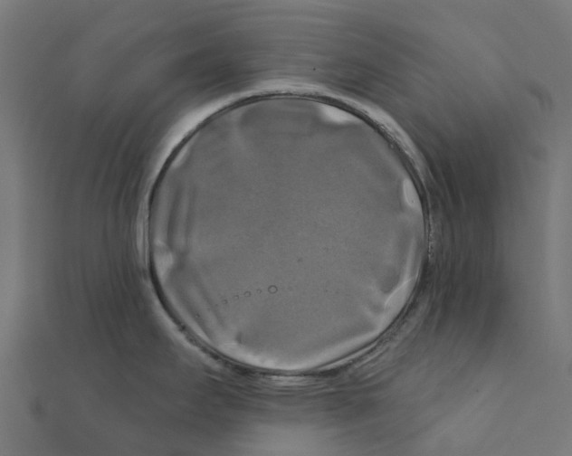 X0000111241295200907301259