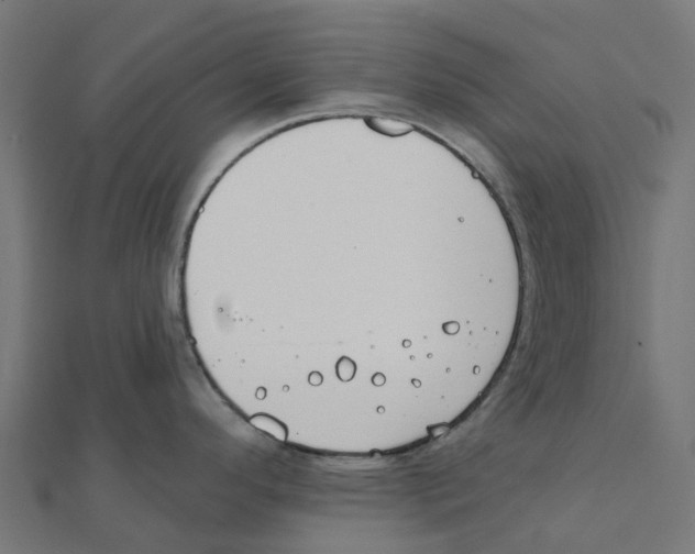 X0000111241296200907301259