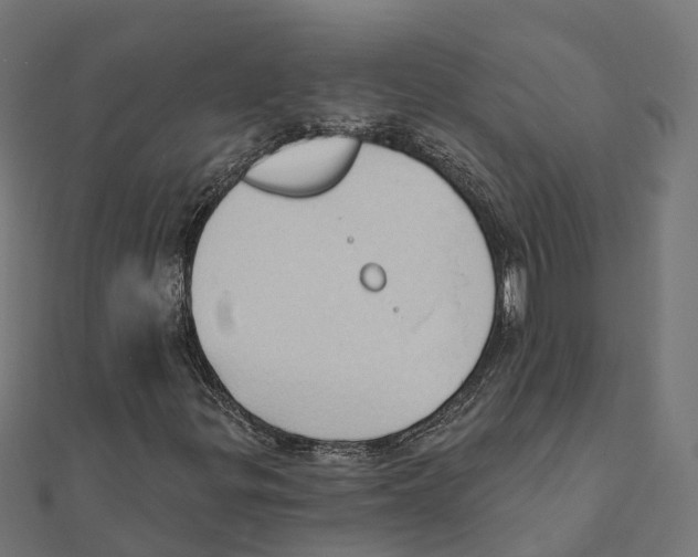 X0000111241299200907301258