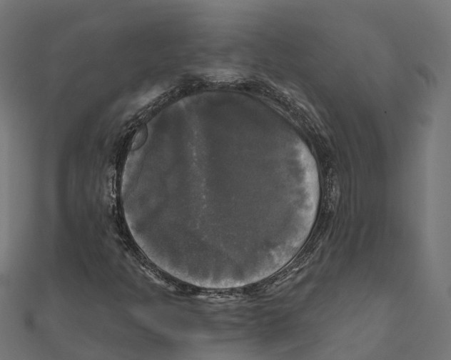 X0000111241301200907301258