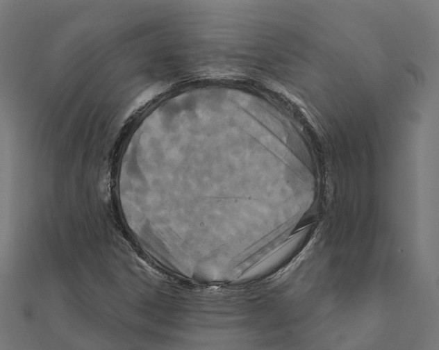 X0000111241306200907301258