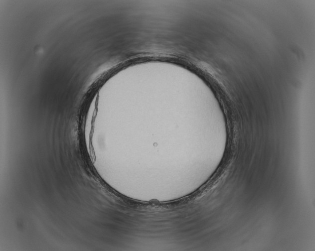 X0000111241307200907301258