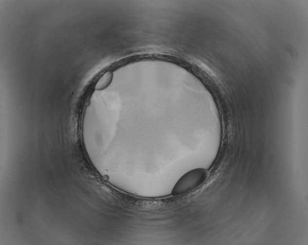 X0000111241310200907301258