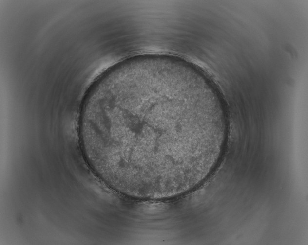 X0000111241314200907301258