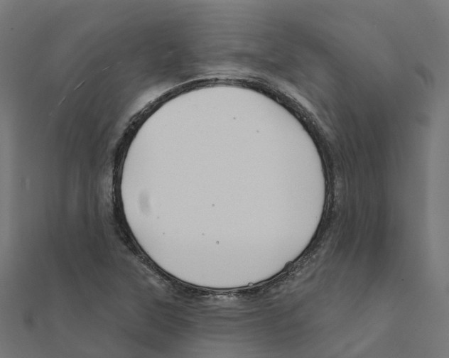 X0000111241315200907301258