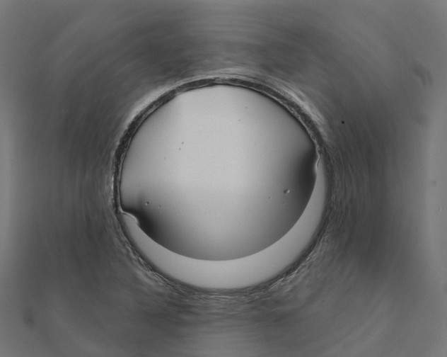 X0000111241316200907301258