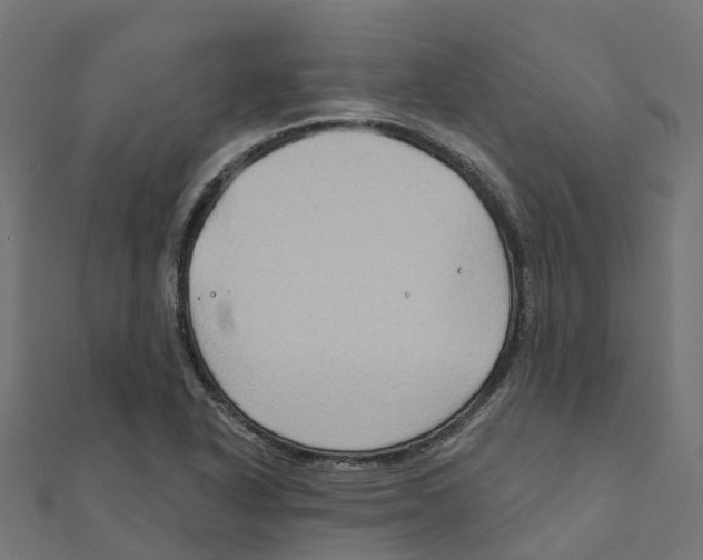 X0000111241318200907301258