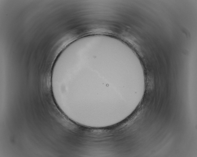 X0000111241322200907301258