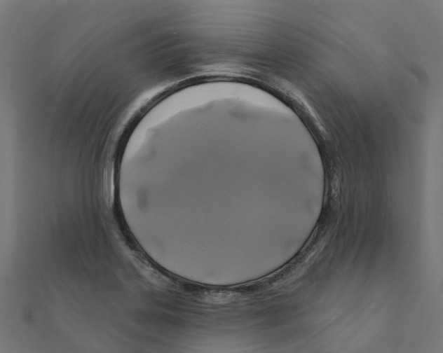 X0000111241323200907301258