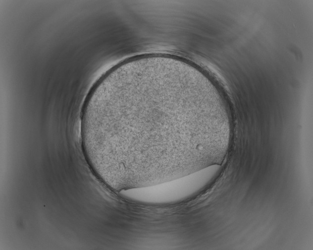 X0000111241324200907301258