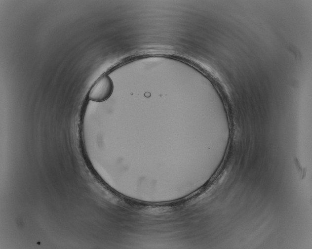 X0000111241325200907301258