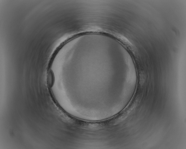 X0000111241326200907301258