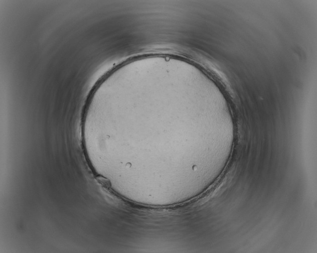 X0000111241328200907301258