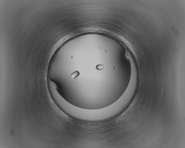 X0000111241330200907301258