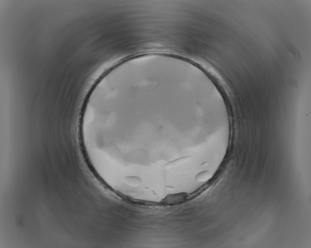 X0000111241333200907301258