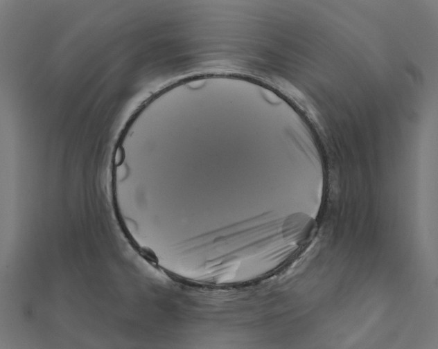 X0000111241334200907301258