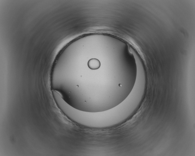 X0000111241336200907301258