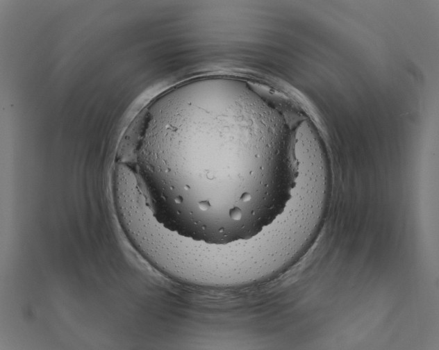 X0000111241338200907301259