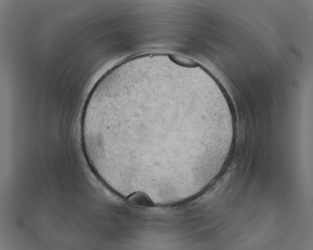 X0000111241341200907301259