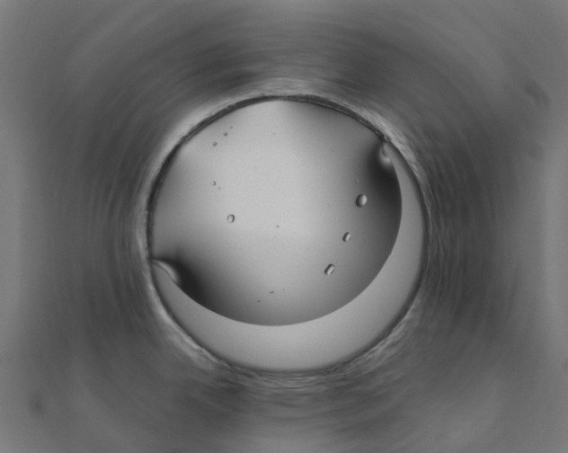 X0000111241342200907301259