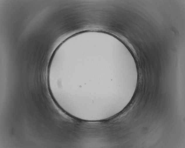 X0000111241343200907301259