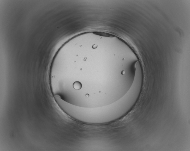 X0000111241344200907301259