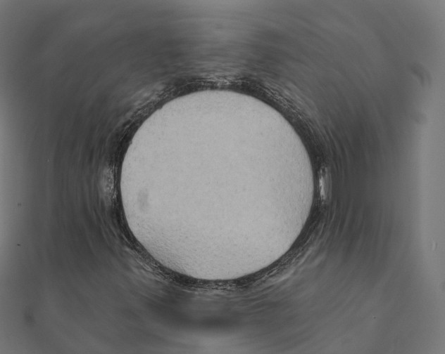 X0000111241347200907301258