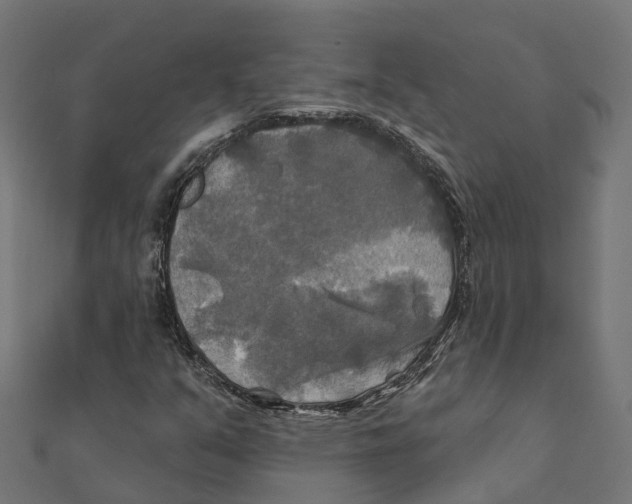 X0000111241351200907301258