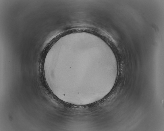 X0000111241352200907301258