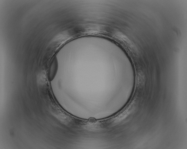 X0000111241353200907301258