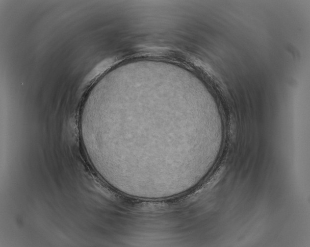 X0000111241354200907301258