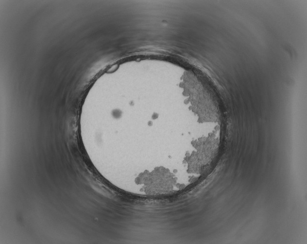 X0000111241355200907301258