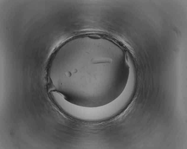 X0000111241357200907301258