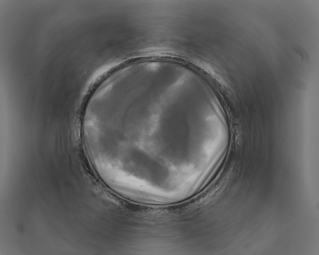 X0000111241358200907301258