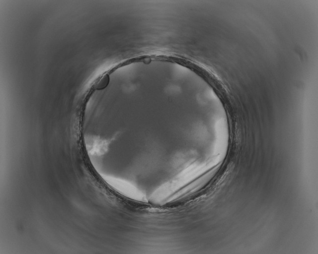 X0000111241359200907301258