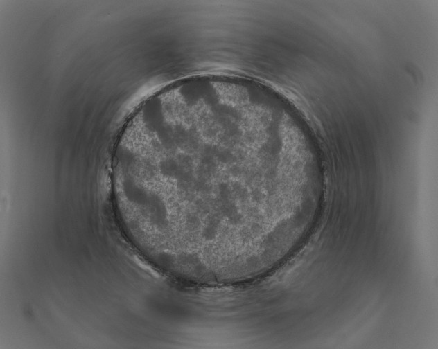 X0000111241363200907301258