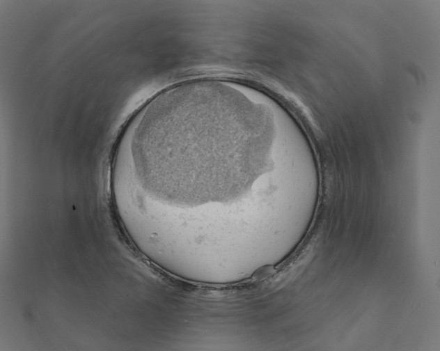 X0000111241365200907301258