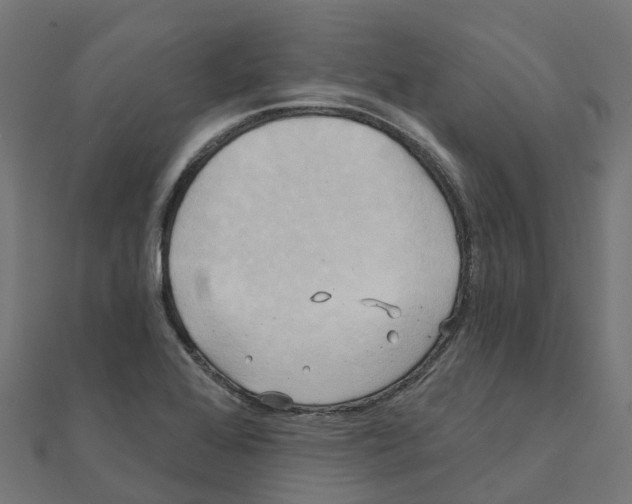 X0000111241368200907301258