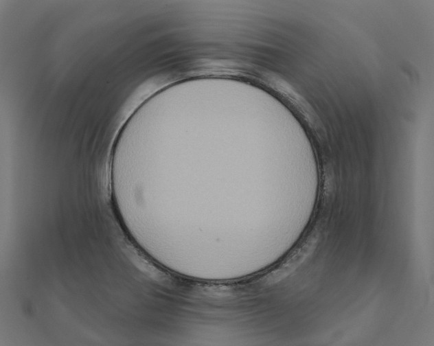 X0000111241370200907301258