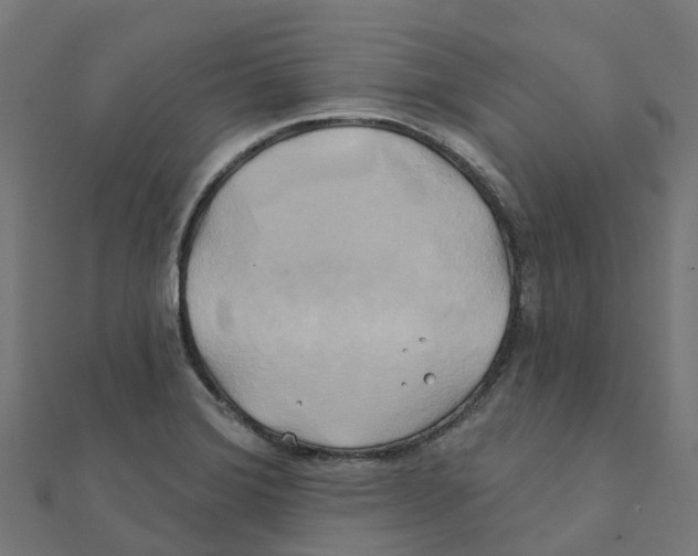 X0000111241372200907301258