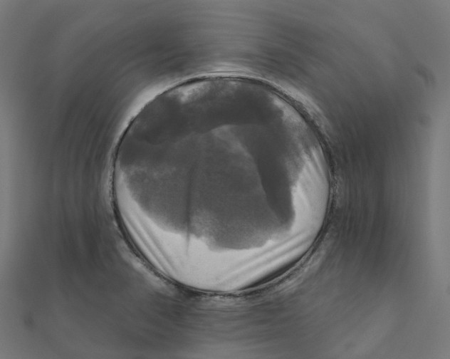 X0000111241374200907301258