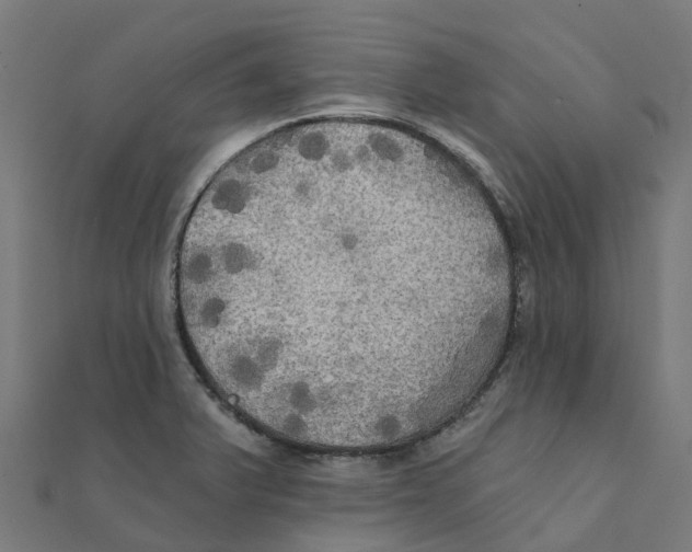 X0000111241375200907301258