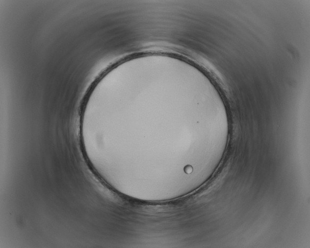 X0000111241376200907301258