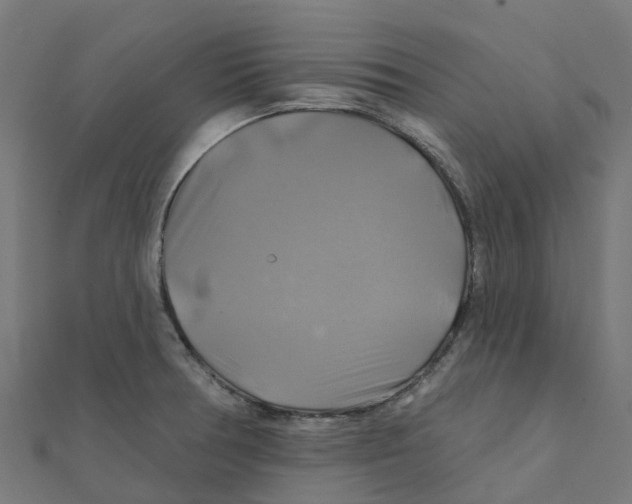 X0000111241378200907301258