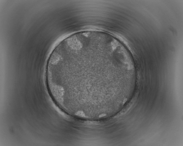 X0000111241379200907301258