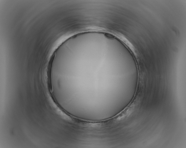 X0000111241381200907301258