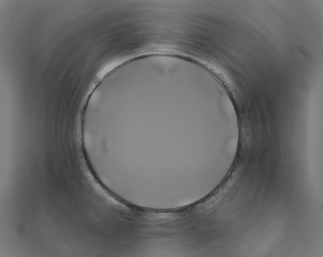 X0000111241382200907301257