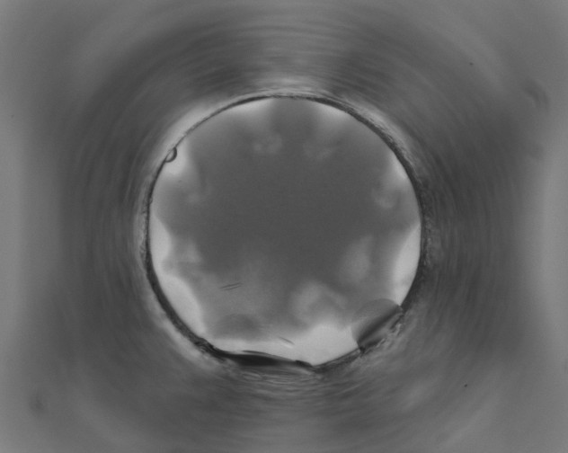 X0000111241383200907301257